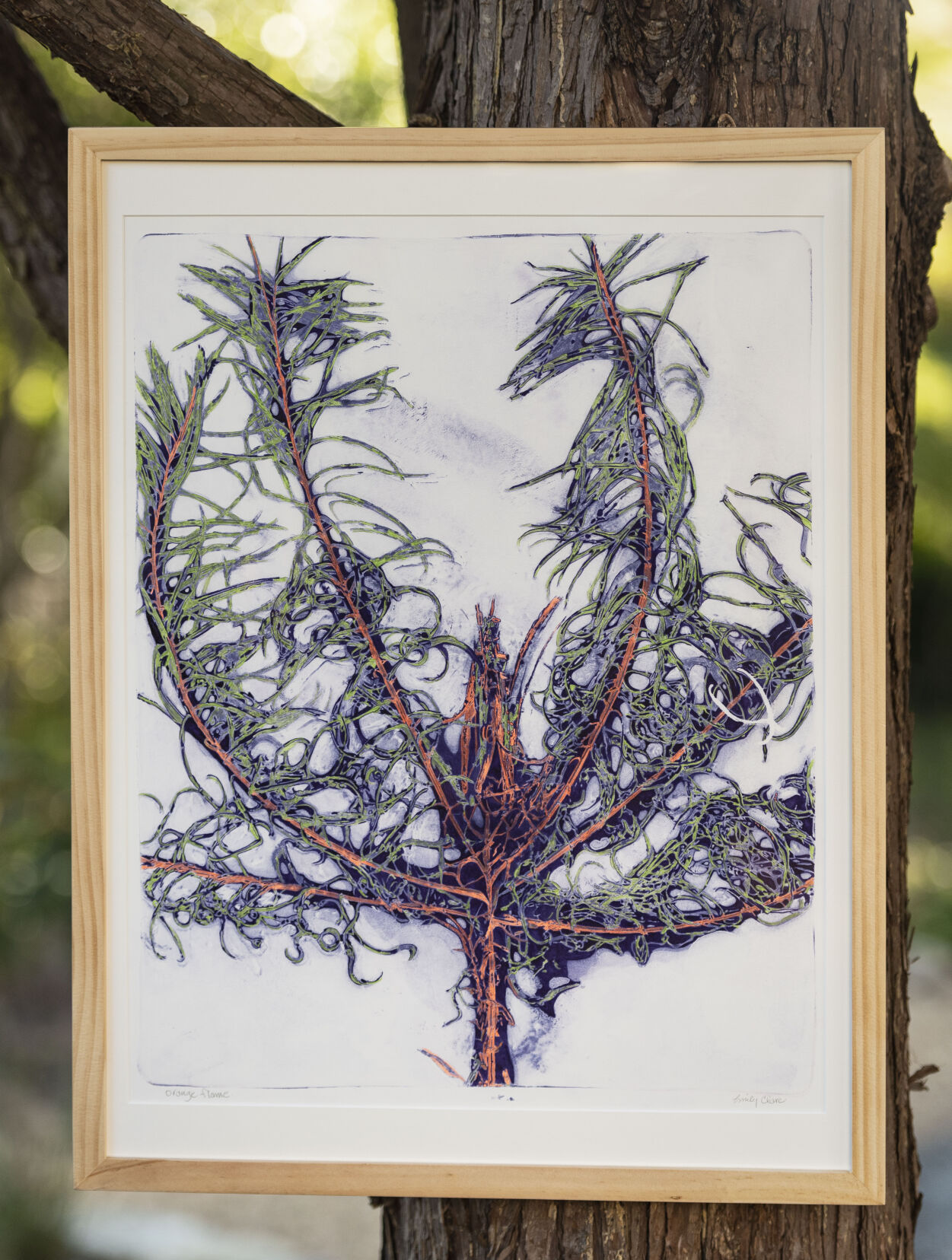Ardmore Art Walk